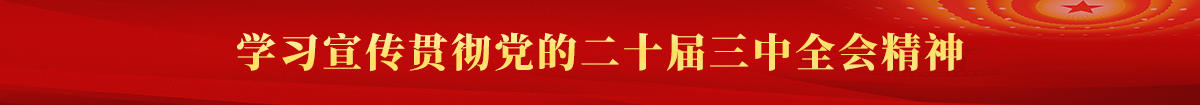 学习宣传贯彻党的二十届三中全会精神